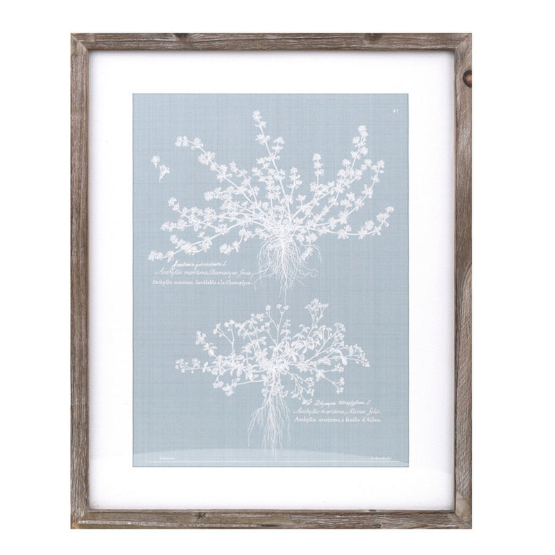 Wood framed encyclopedia floral outline under glass (set of 4), photo 3 of 5
