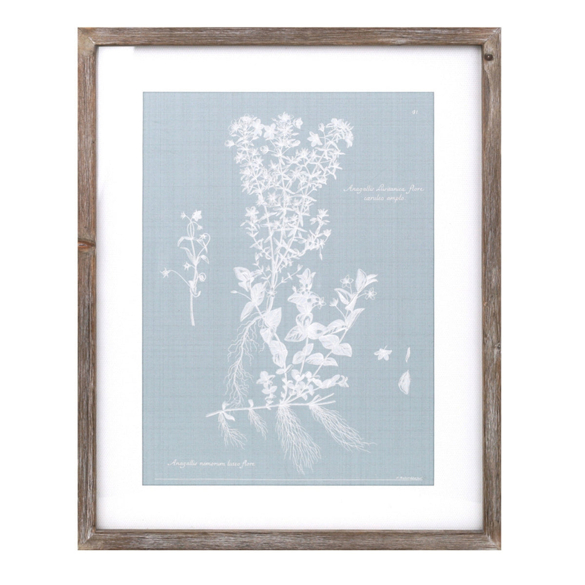 Wood framed encyclopedia floral outline under glass (set of 4), photo 4 of 5