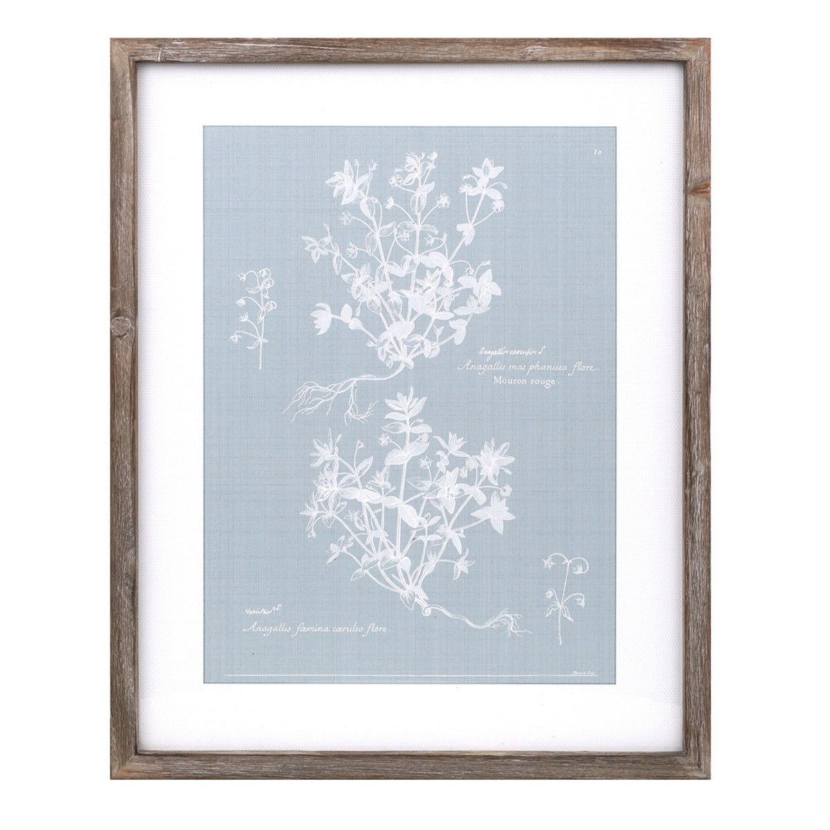 Wood framed encyclopedia floral outline under glass (set of 4), photo 5 of 5