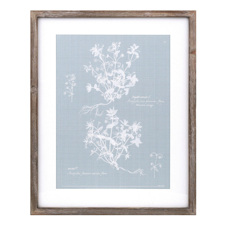 Wood framed encyclopedia floral outline under glass (set of 4), photo 5 of 5