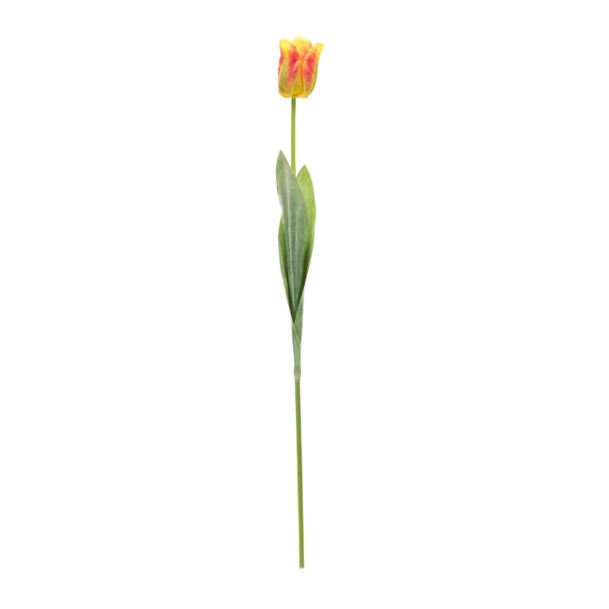 Tulip floral stem (set of 6), photo 2 of 3