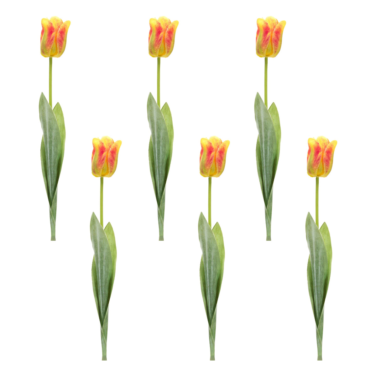 Tulip floral stem (set of 6), photo 3 of 3