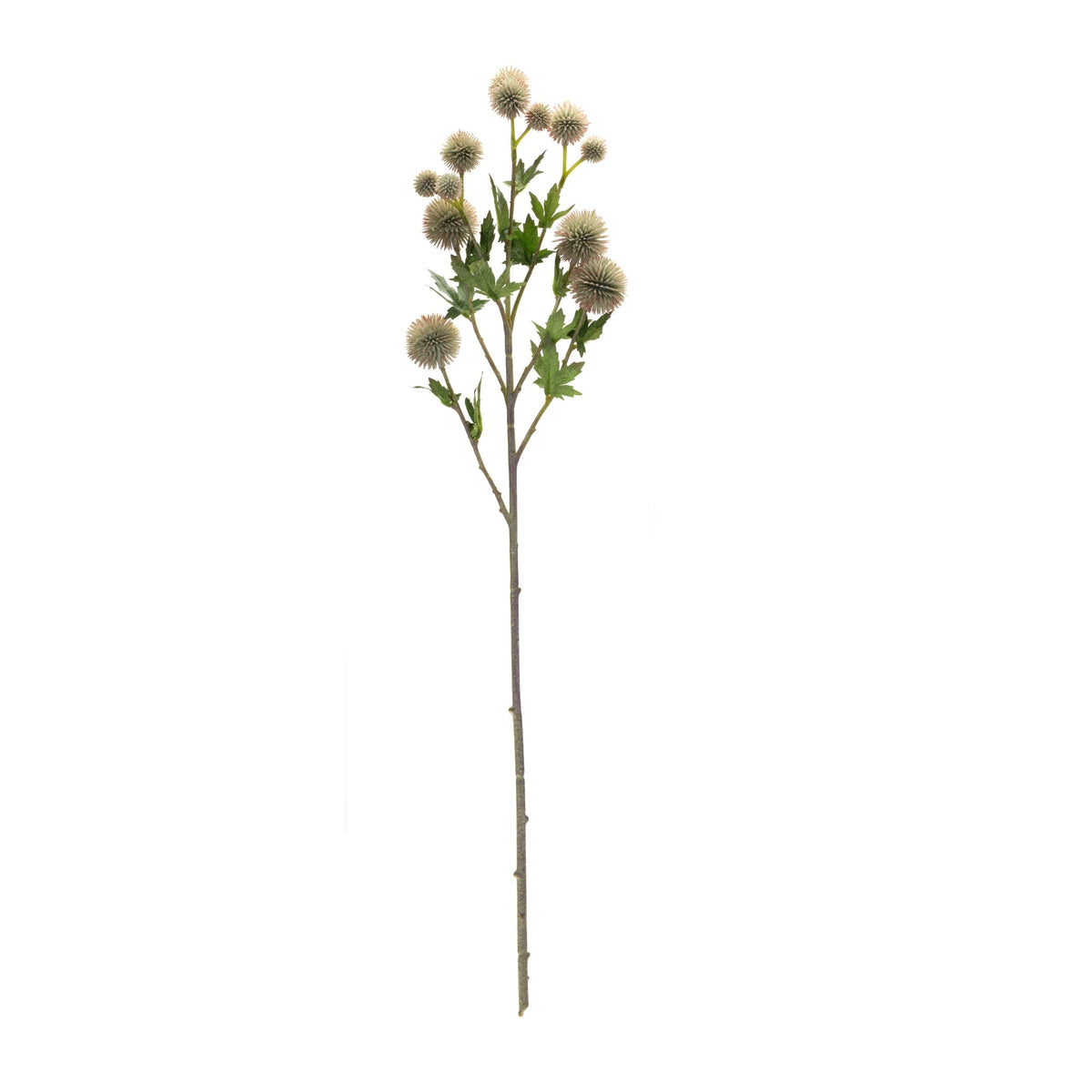 Sage Allium Floral Spray (Set of 6), photo 3 of 3
