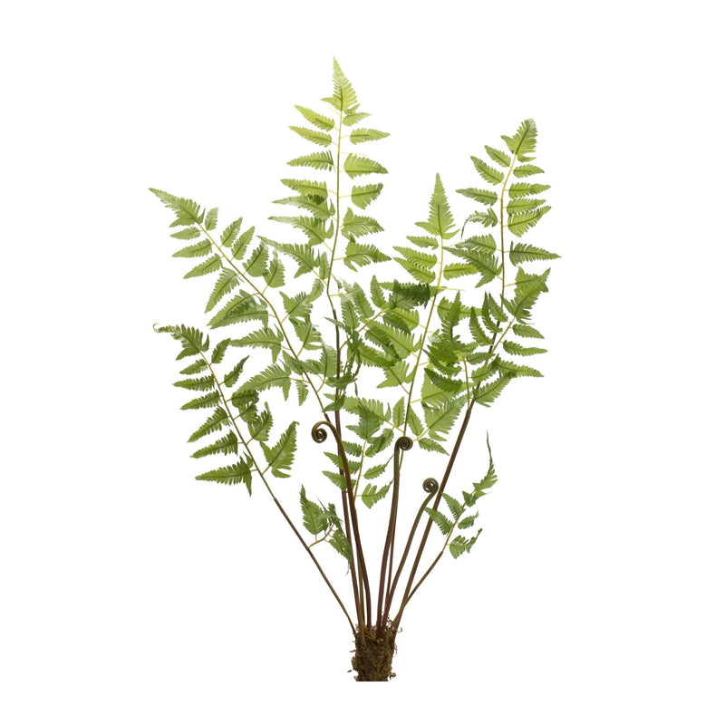 Varigated Fern Bundle with Sprout Accents (Set of 6), photo 2 of 3