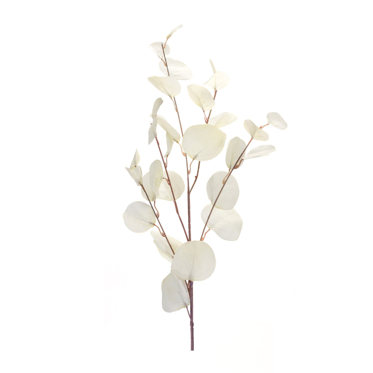 Ivory Silver Dollar Eucalyptus Leaf Spray (Set of 6), photo 2 of 3