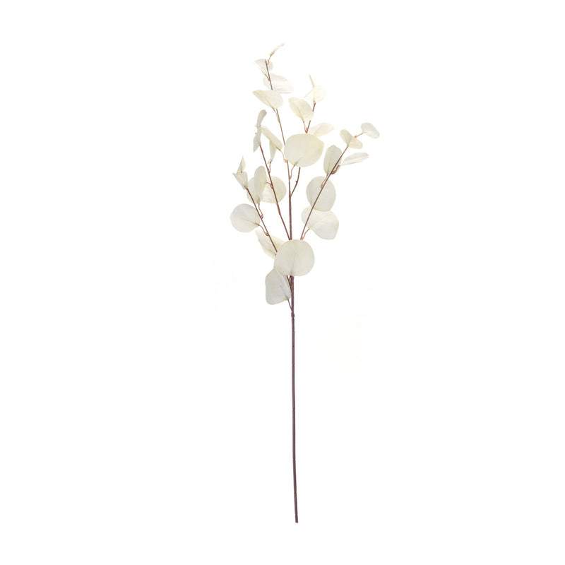 Ivory Silver Dollar Eucalyptus Leaf Spray (Set of 6), photo 3 of 3