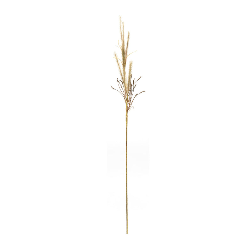 Foxtail Grass Spray (Set of 2), photo 2 of 3