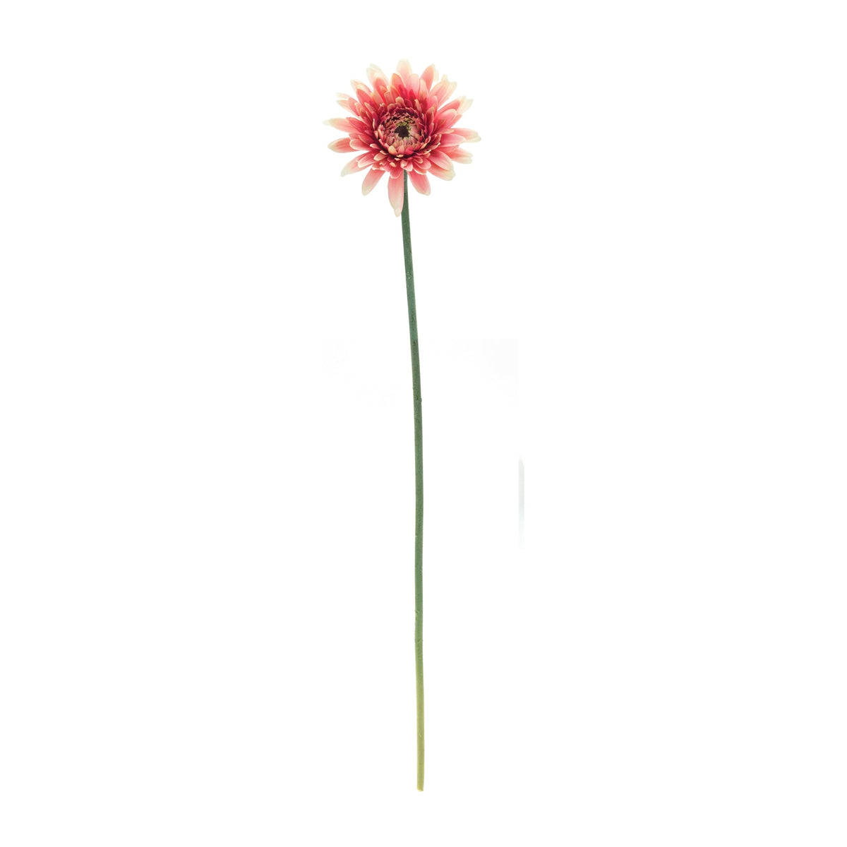 Gerbera Daisy Floral Stem (Set of 6), photo 2 of 3