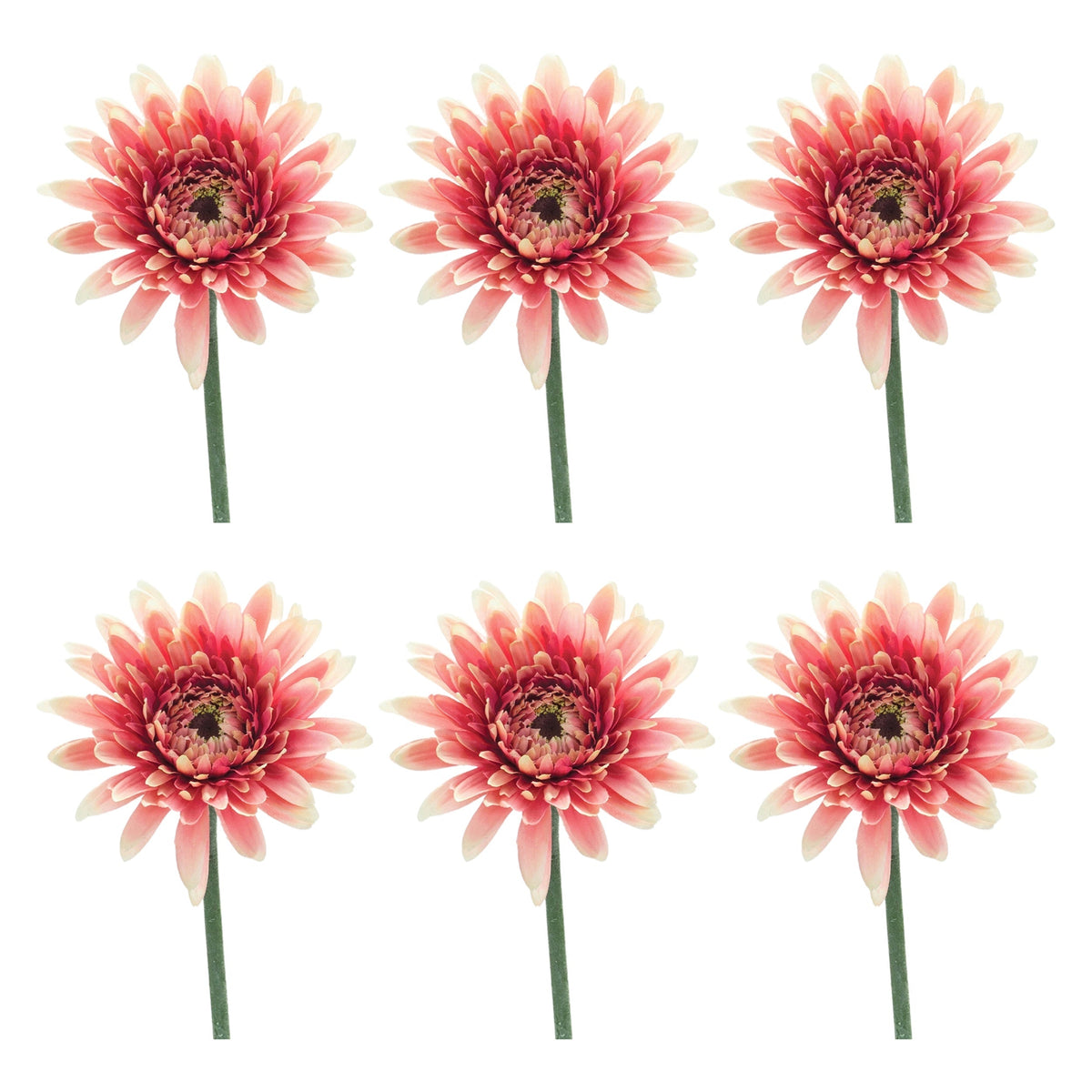 Gerbera Daisy Floral Stem (Set of 6), photo 3 of 3