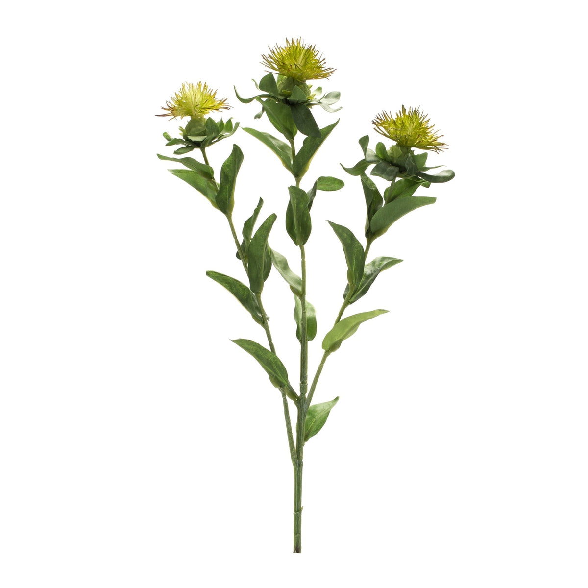 Green Thistle Floral Spray (Set of 6), photo 2 of 3