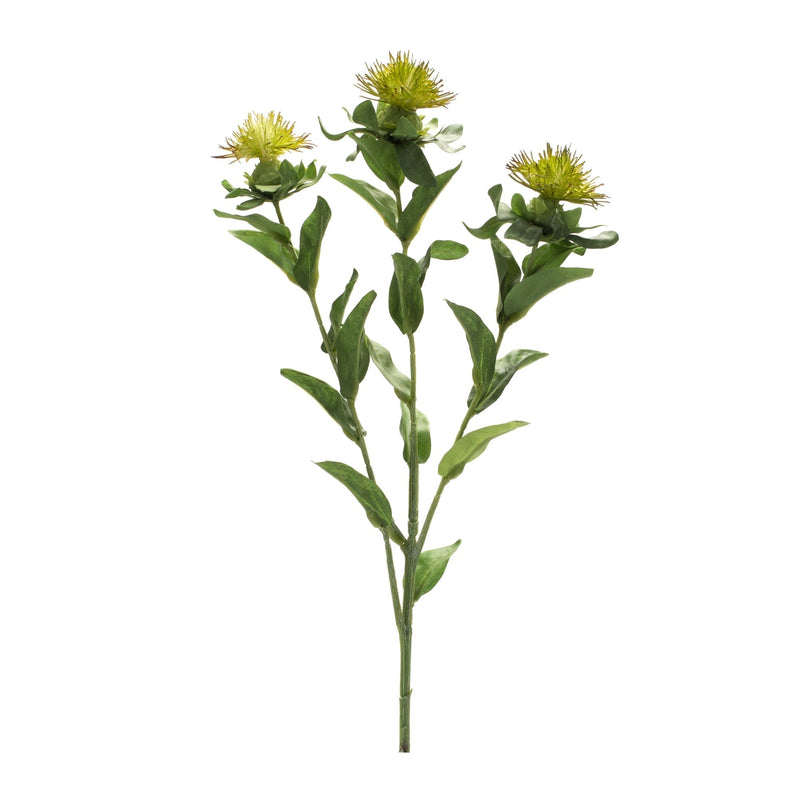 Green Thistle Floral Spray (Set of 6), photo 2 of 3