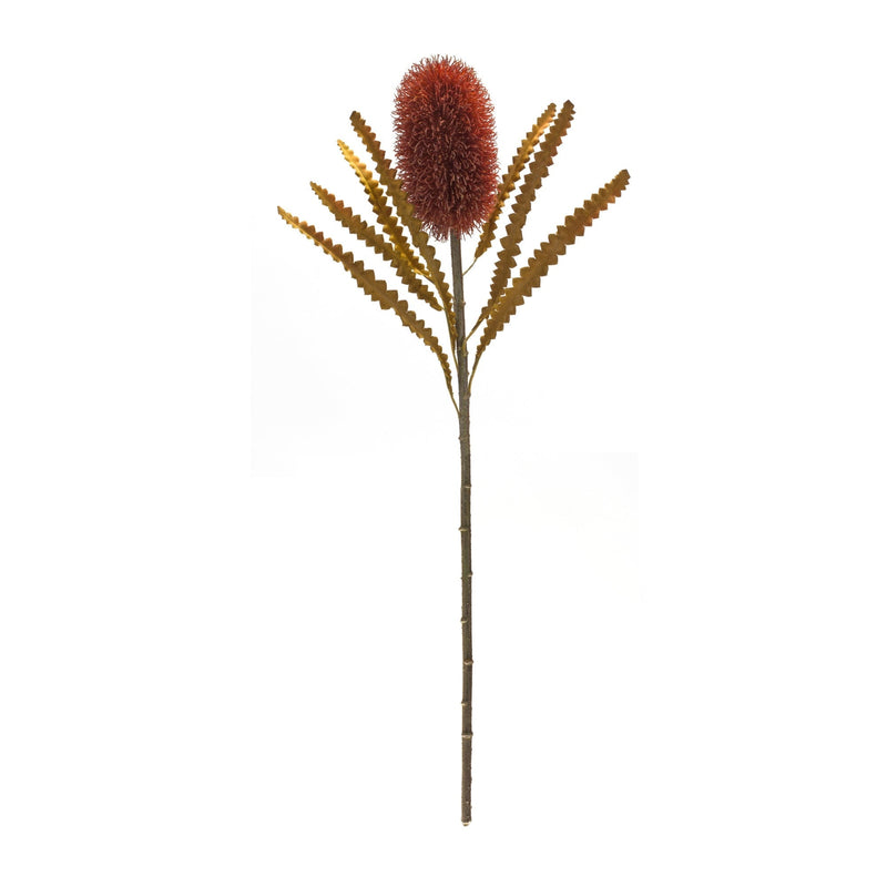 Burnt Orange Banksia Floral Stem (Set of 6), photo 3 of 3