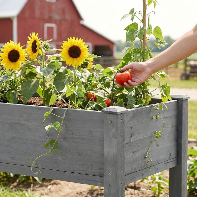 Elevated Raised Garden Bed For Outdoor by Unique Piece Furniture