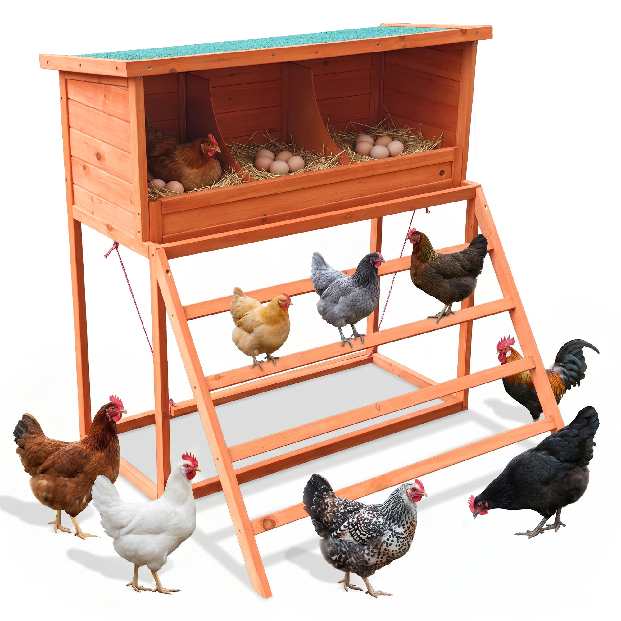 3-in-1 Nesting Boxes for Chickens with Perch and Swing by HouseOfZazla