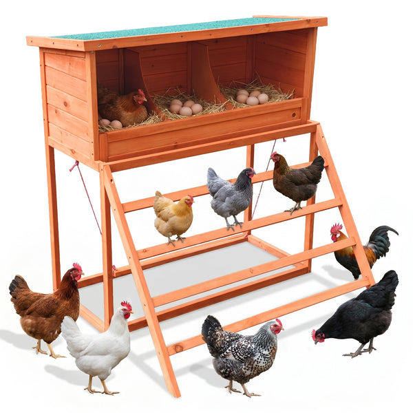3-in-1 Nesting Boxes for Chickens with Perch and Swing