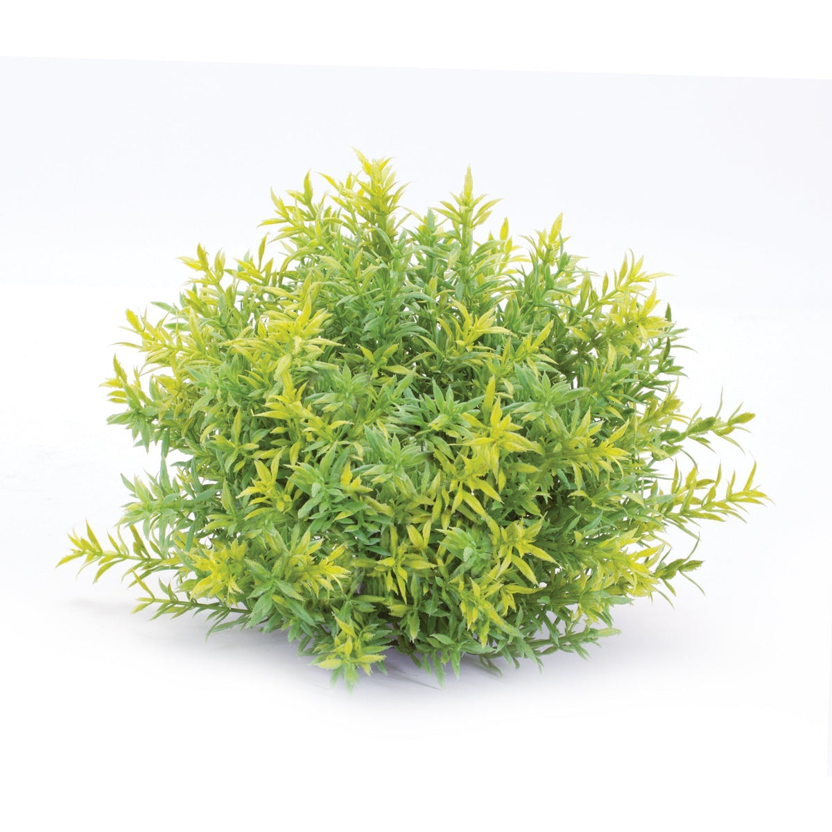 Varigated Mini Leaf Half Orb (Set of 6), photo 4 of 5