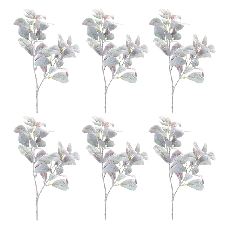 Lamb's Ear Leaf Bush (Set of 6), photo 3 of 3