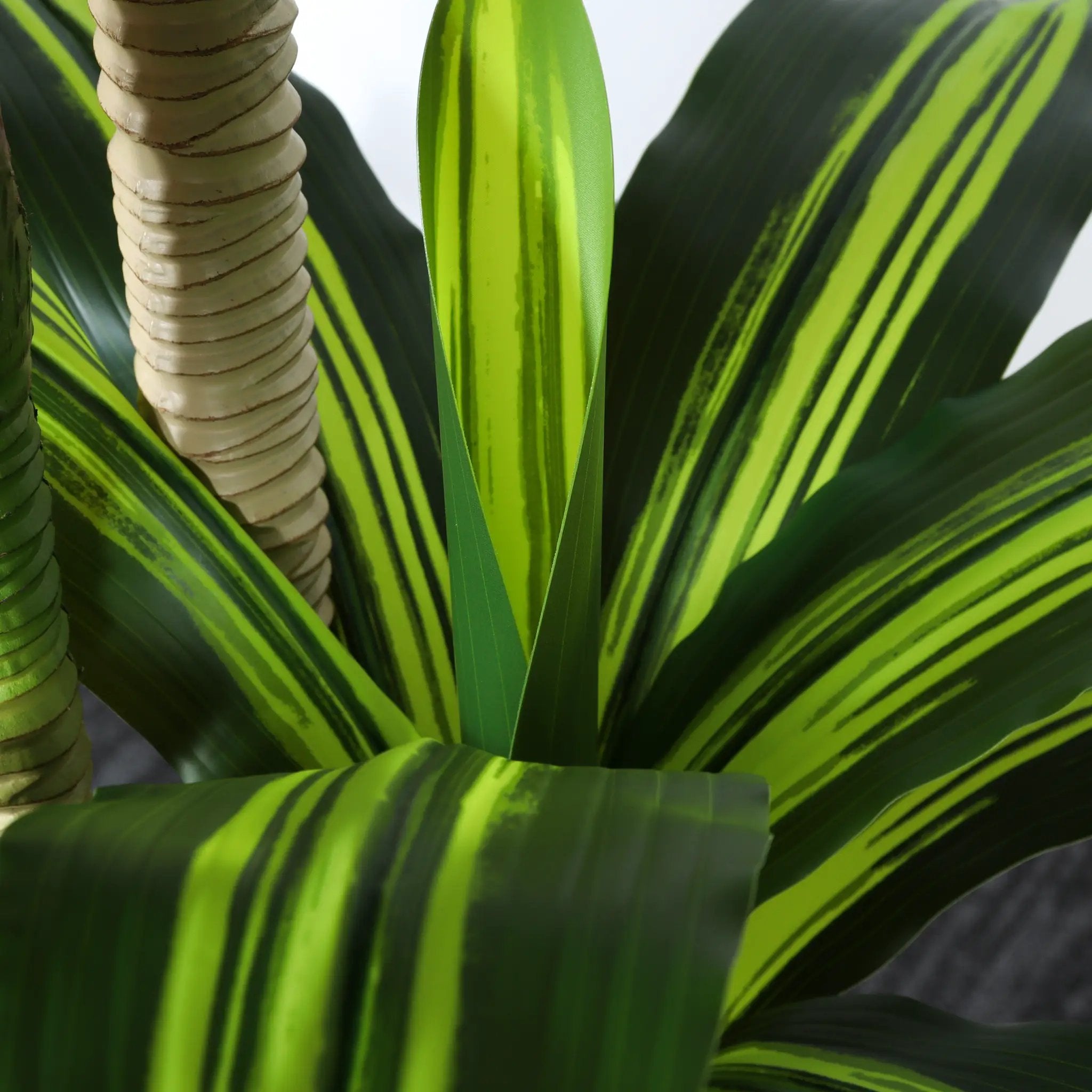 6' Artificial Dracaena Tree by HouseOfZazla