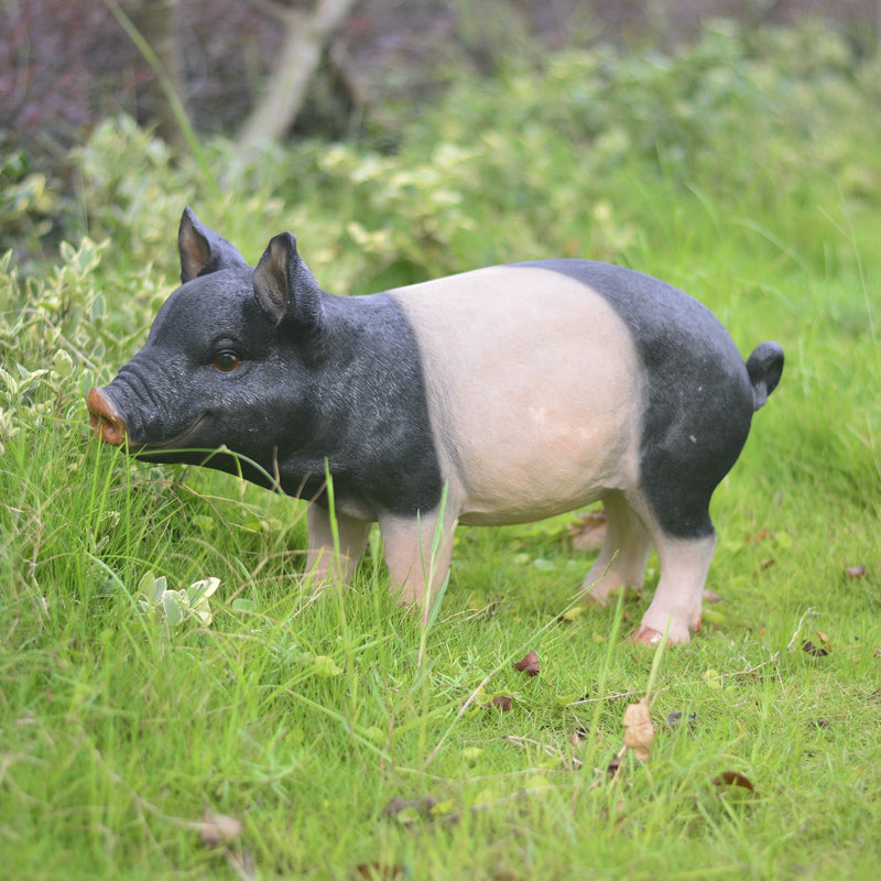 Garden Pig Statues Outdoor Decor with Realistic Hand-Painted Finish - Resin