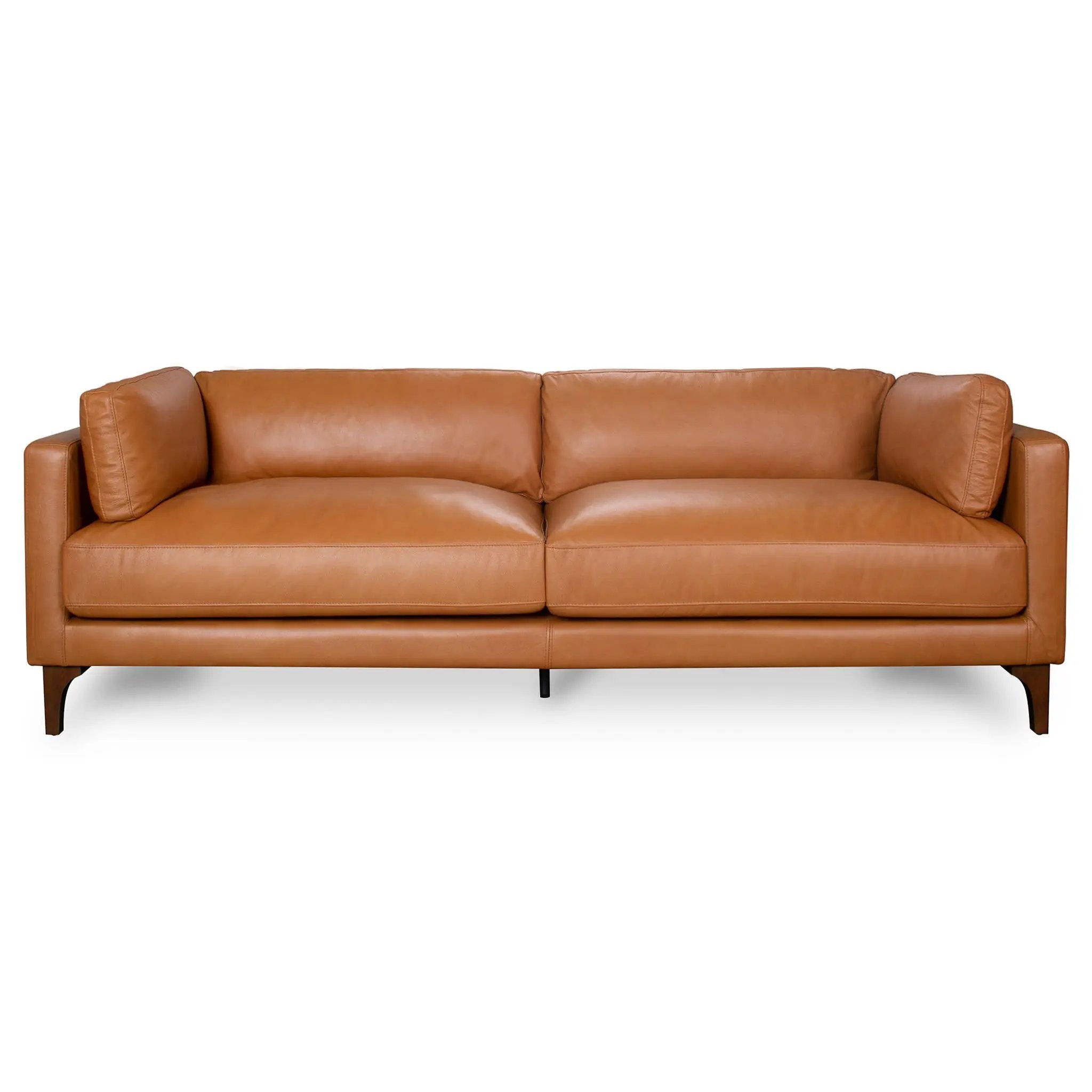 Bellrose Mid-Century Modern Genuine Leather Sofa by HouseOfZazla
