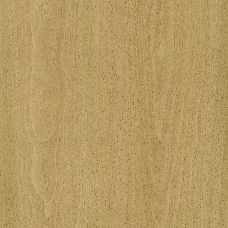 Edwards 4-Panel Room Divider Folding Shoji Screen Natural by Unique Piece Furniture