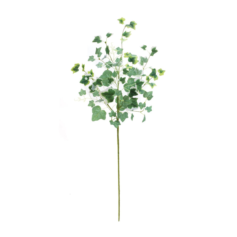 Mixed ivy foliage bush (set of 2), photo 2 of 3