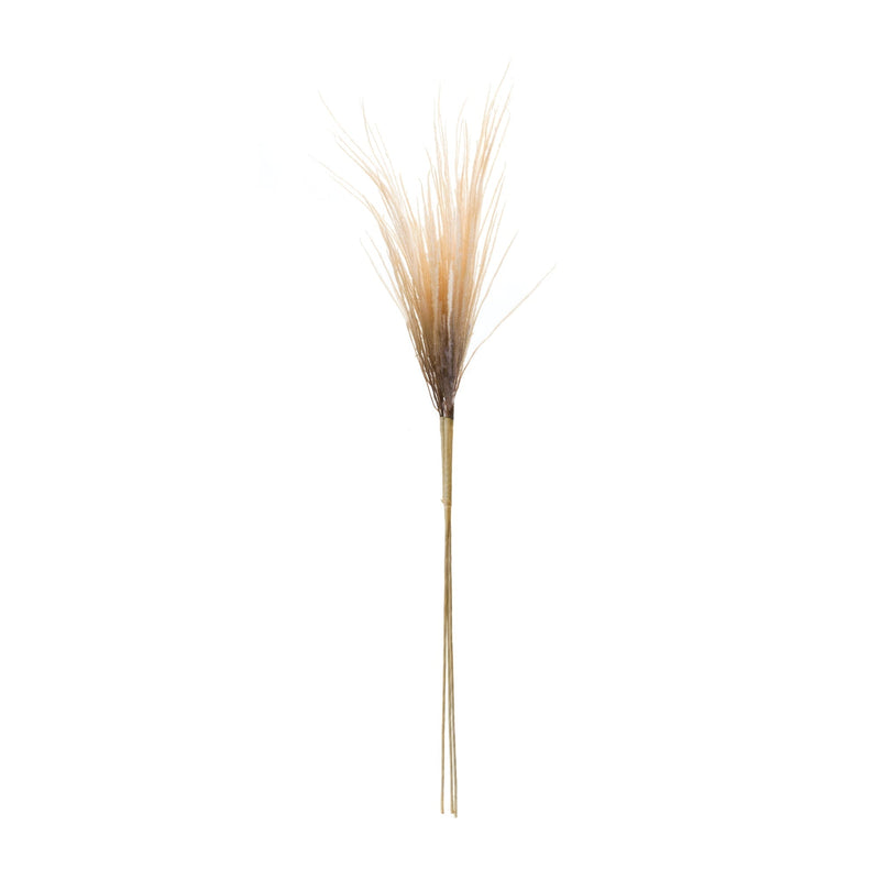 Grass Plume Bundle (Set of 2), photo 2 of 3