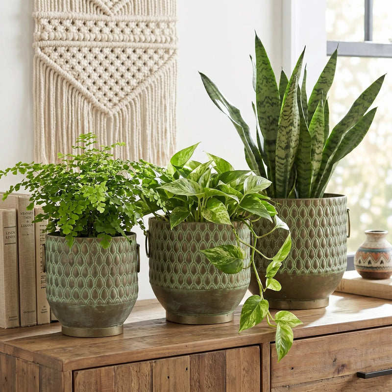 S/3 Textured Planters Set by HouseOfZazla