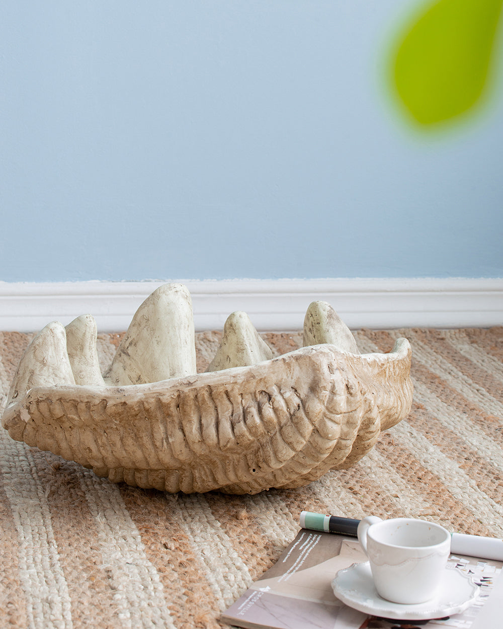 Medium Clam Shell Accent, photo 4 of 10