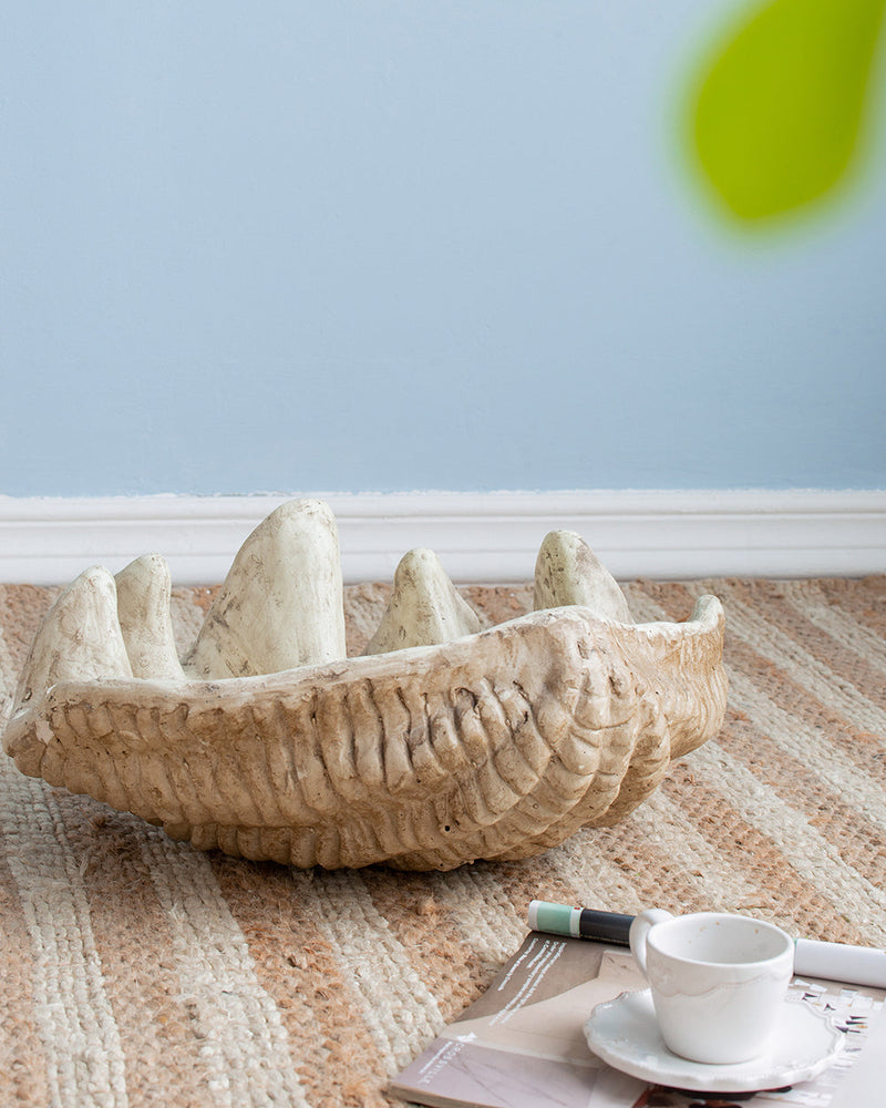 Medium Clam Shell Accent, photo 4 of 10