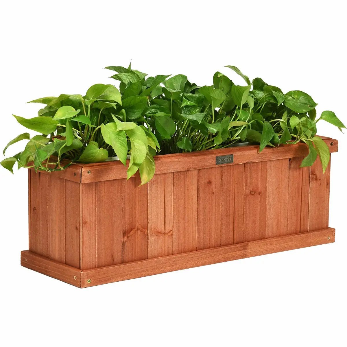 Wooden Decorative Planter Box for Garden Yard and Window by DirectDeals