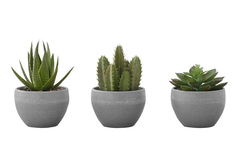 6" Tall Artificial Succulent Plant Set of 3 by HouseOfZazla