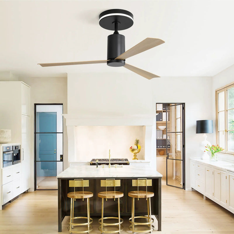 Modern Flush Mount Ceiling Fan With Led Light And Remote Control, 3 ABS Blades Noiseless Reversible Dc Motor For Patio Living Room - Matte Black by HouseOfZazla