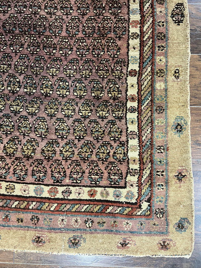 Antique Persian Sarab Runner Rug 3x11, Wool Camel Hair, Tribal Carpet for Hallway 3 x 11, Antique 1920s Rug, Handmade by Jewel Rugs