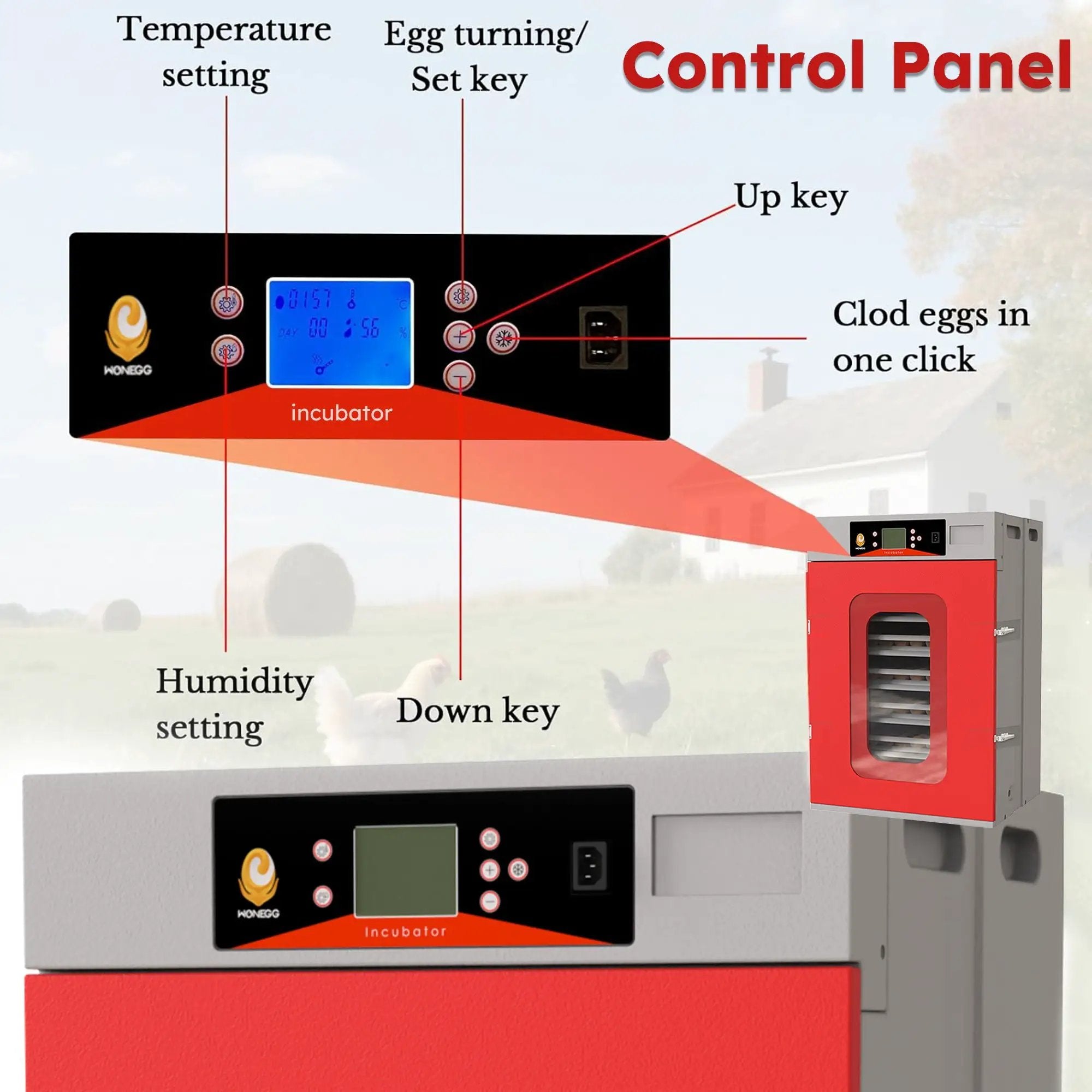 Commercial Egg Digital Cabinet Incubator With Auto Temperature & Humidity Control by HouseOfZazla