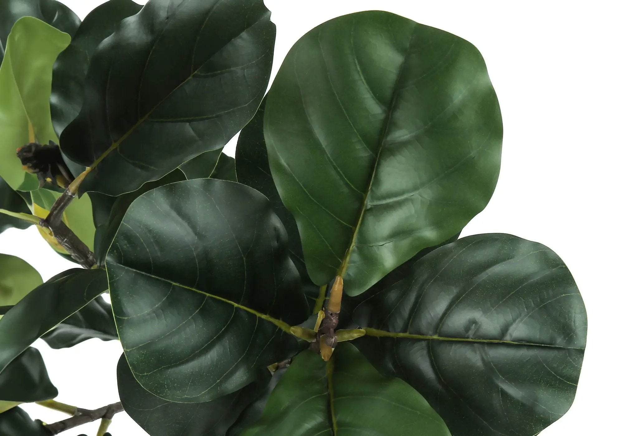 47" Tall Artificial Fiddle Tree Plant by HouseOfZazla