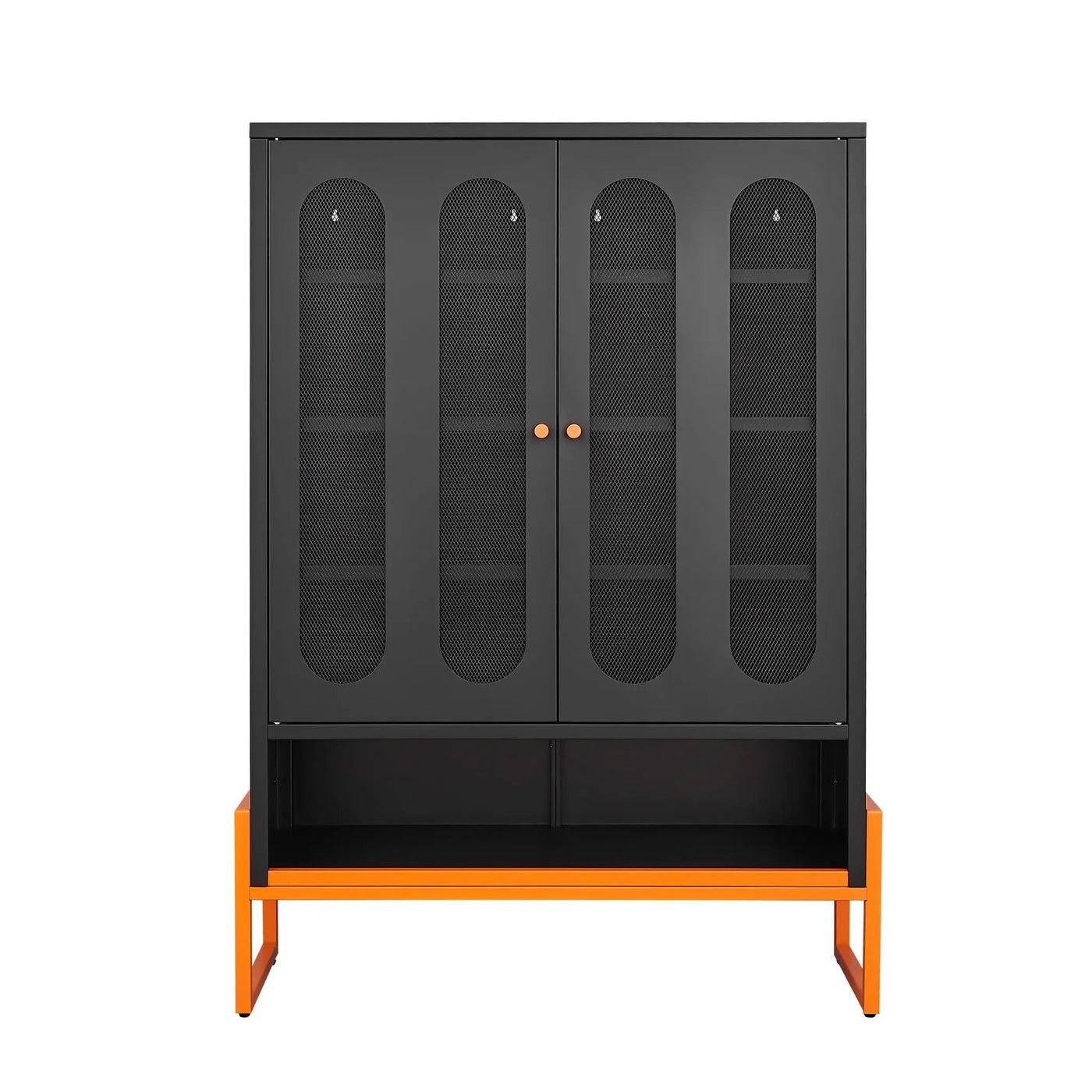 Modern Metal Shoe Cabinet With DoublebSided Doors And Adjustable Partitions by HouseOfZazla