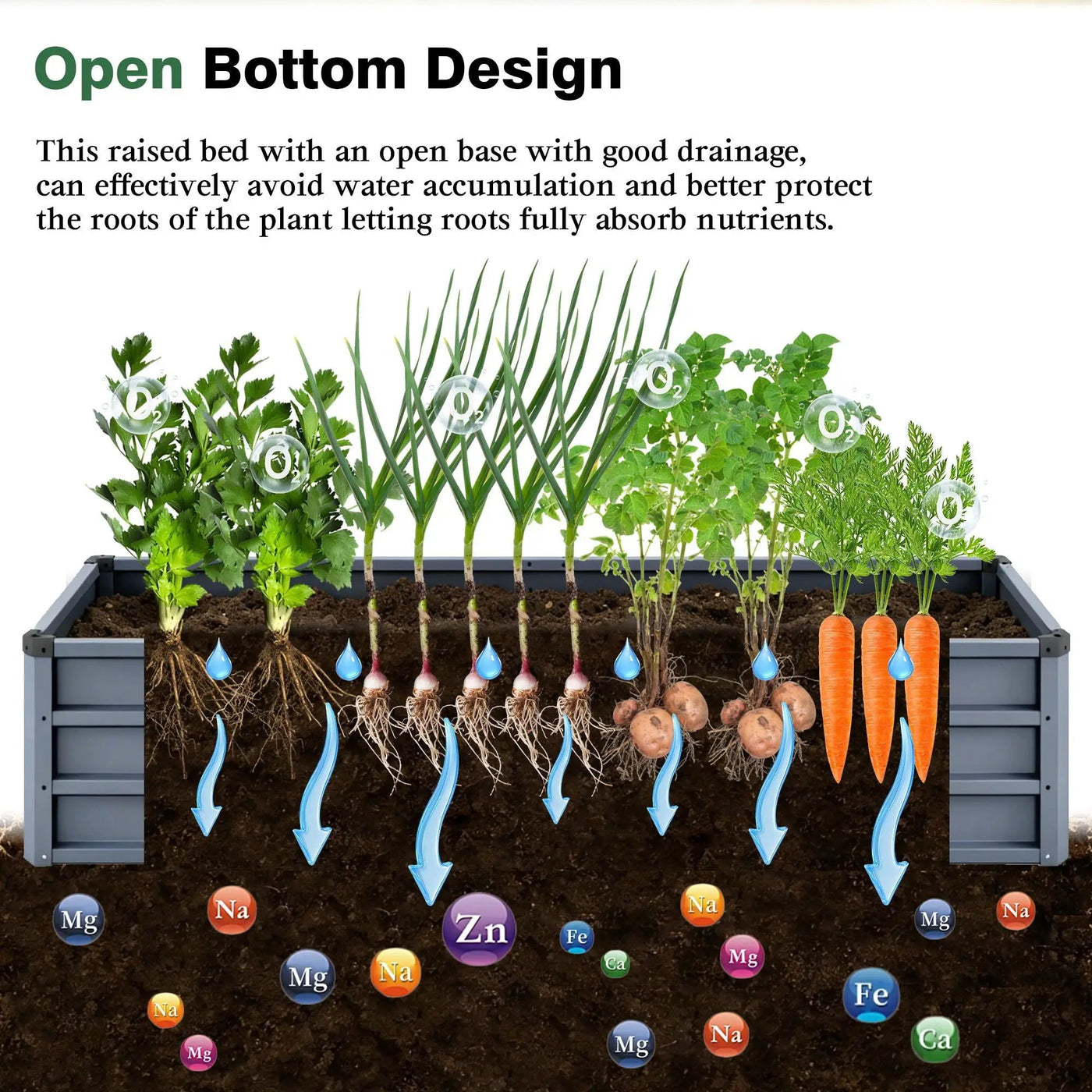 Large Garden Bed For Outdoor by HouseOfZazla