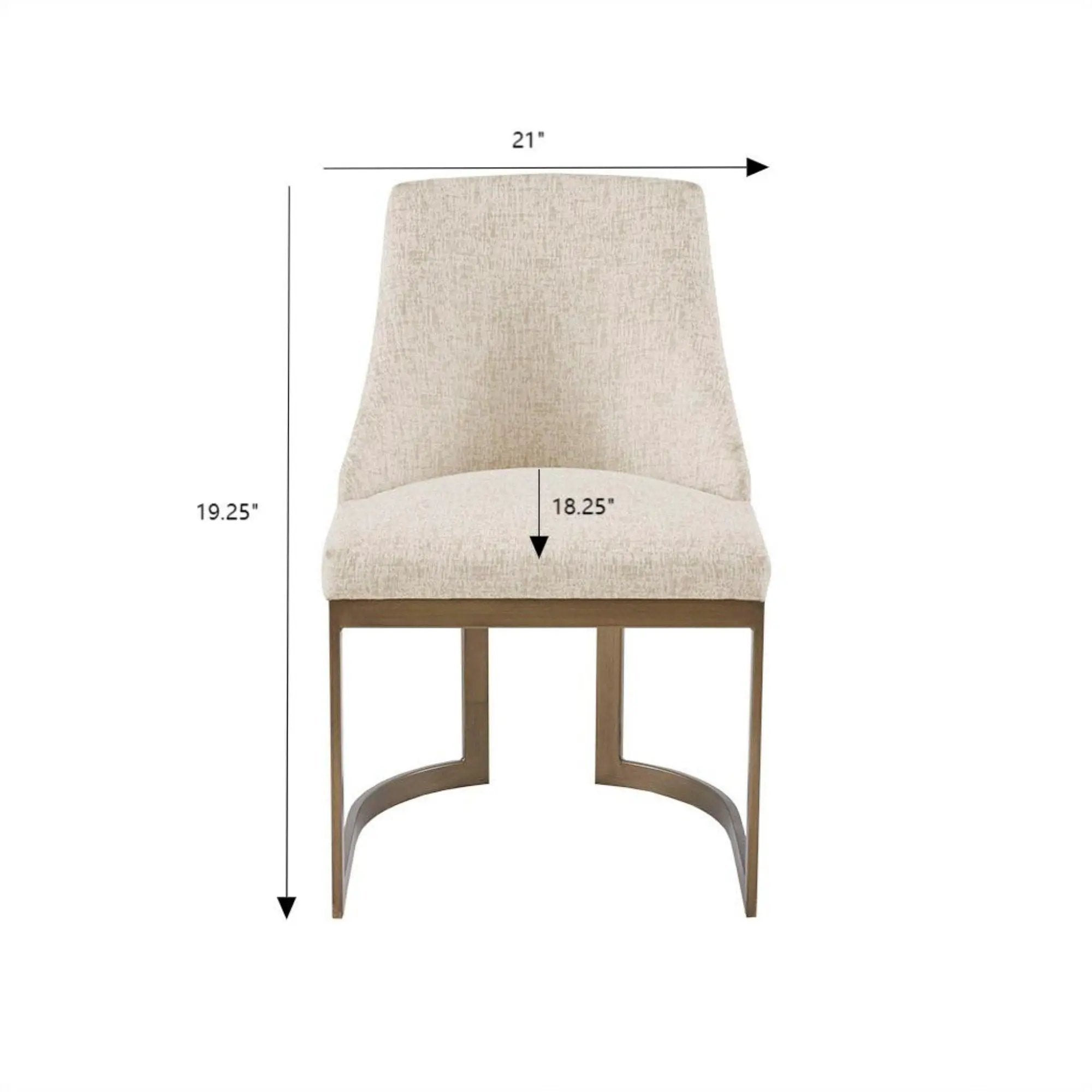 Contemporary Modern Accent Dining Chairs (Set of 2) by HouseOfZazla
