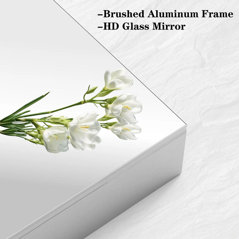 Medicine Cabinet, Wall Mounted Bathroom Mirror With Storage, Adjustable Shelves - Silver by HouseOfZazla