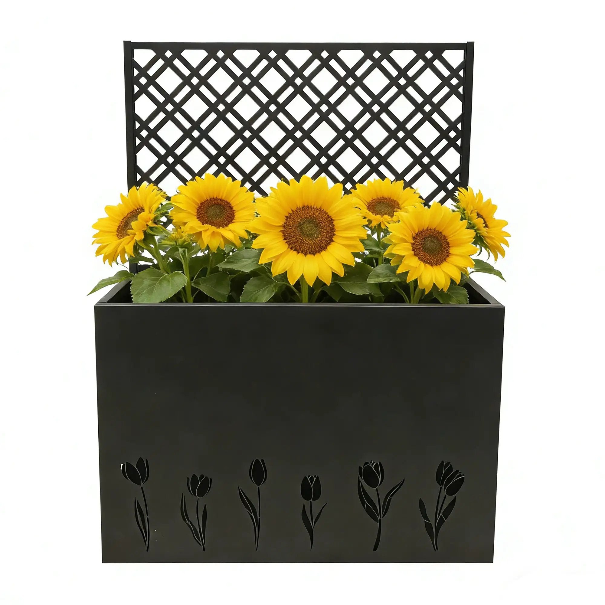 Tall Metal Planter with Trellis by HouseOfZazla