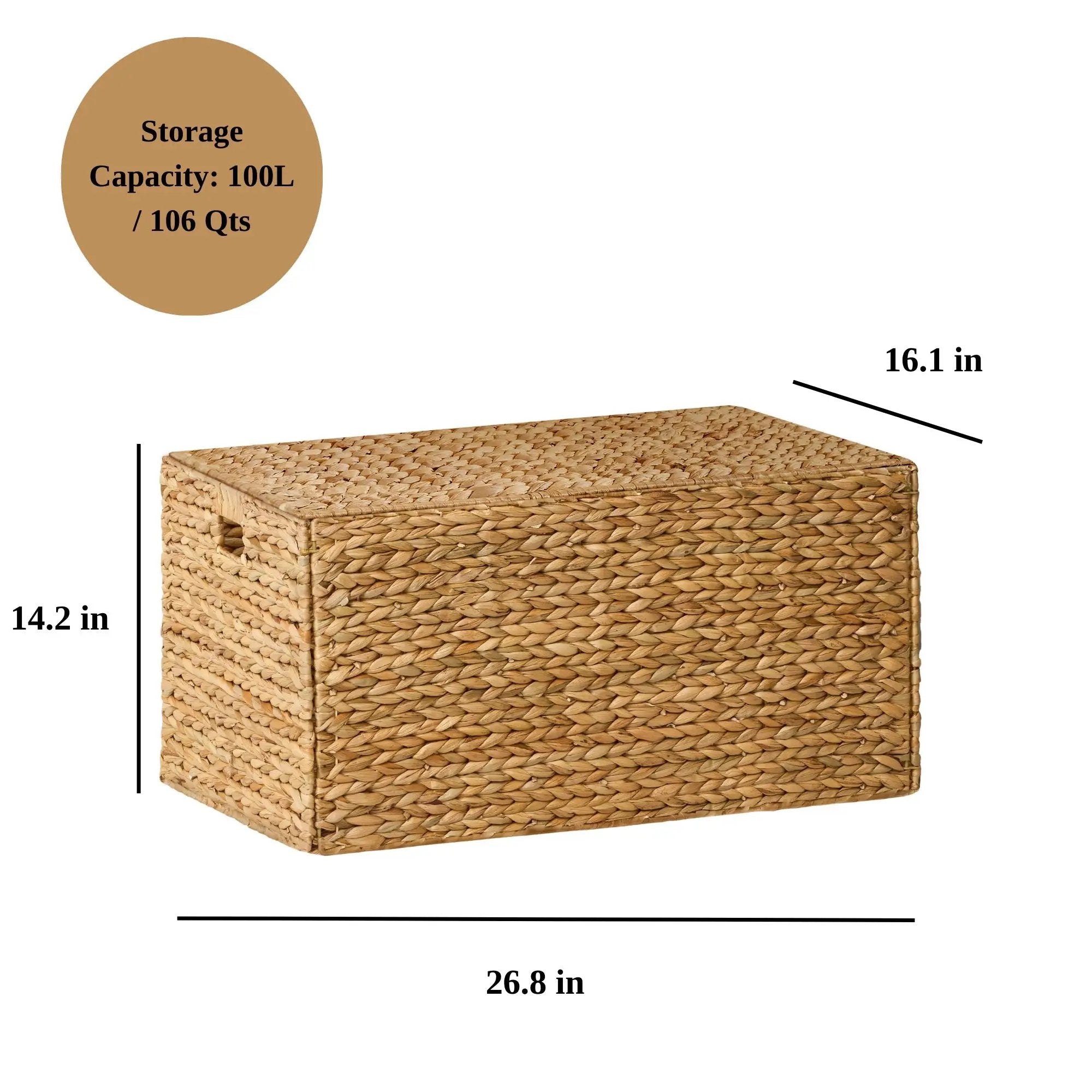 Ludmila Water Hyacinth Rectangular Storage Trunk by HouseOfZazla
