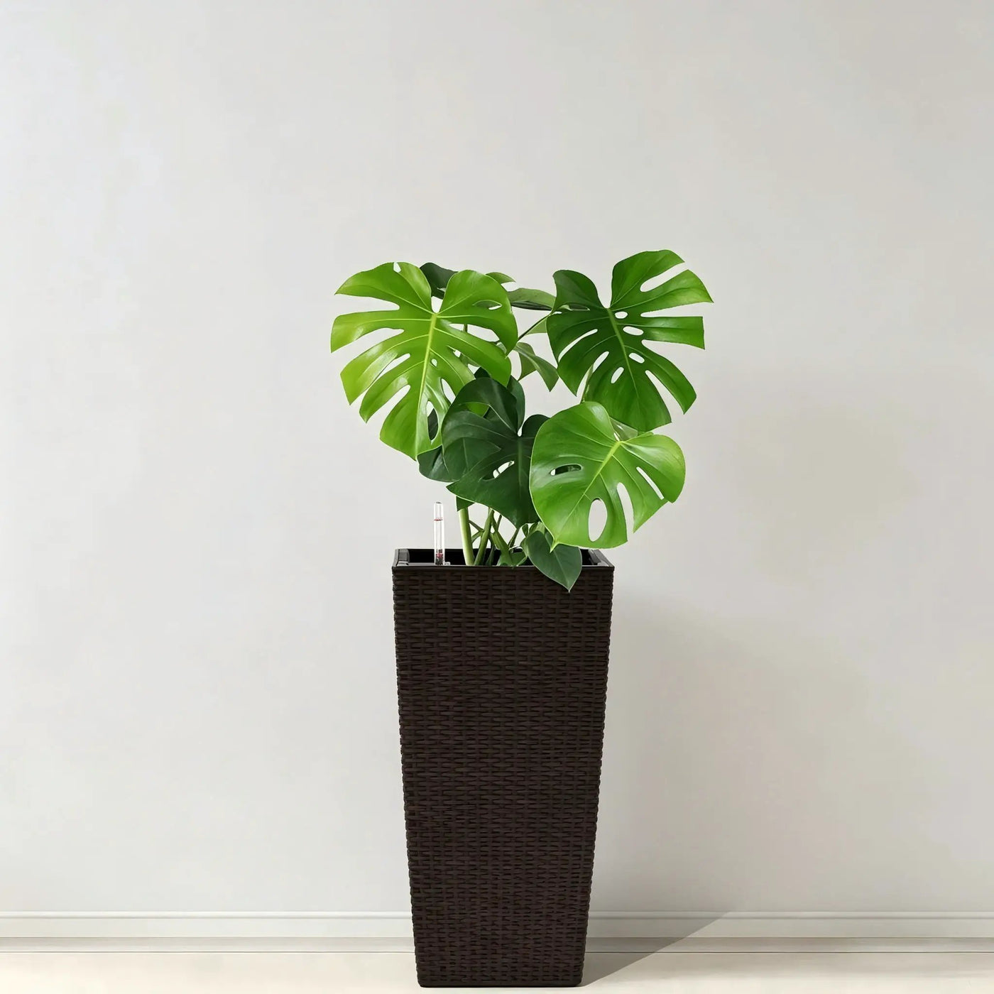 Indoor Outdoor Planter With Automatic Watering System by HouseOfZazla