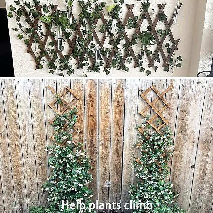 Wooden Lattice Wall-Expandable Plant Garden Trellis for Climbing Plants Outdoor Air Plant Vertical Rack Wall Decor for Room Patio by GreenHaven Gardens