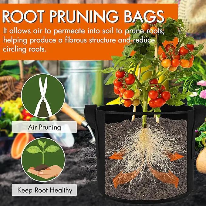 Gardzen 10-Pack 3 Gallons Grow Bags, Aeration Fabric Pots with Handles, Heavy Duty Cloth Pots for Plants by GreenHaven Gardens