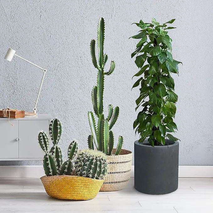 Kante 9.8",12.6",15.7" Dia Round Concrete Planter Set of 3, Modern Style Large Cylindrical Plant Pot with Drainage Hole and Rubber Plug for Indoor Outdoor Patio, Charcoal by GreenHaven Gardens