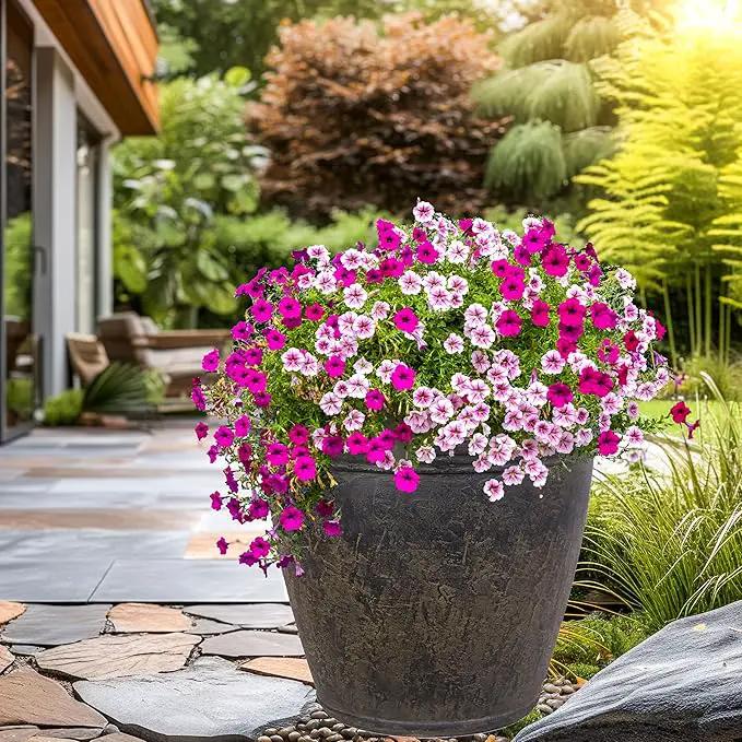 Sunnydaze 24-Inch Anjelica Large Plastic Pot for Plants - Outdoor Polyresin Round Planter with Drillable Drainage Holes - Sable - 2pk by GreenHaven Gardens