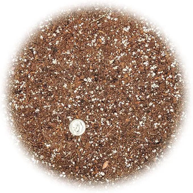 Professional Carnivorous Plant Soil - Ready to Use for Venus Flytraps, Sundews, Pitcher Plants, Butterworts | Peat Moss, Coco Coir, Perlite - 3 Quart Bag by GreenHaven Gardens