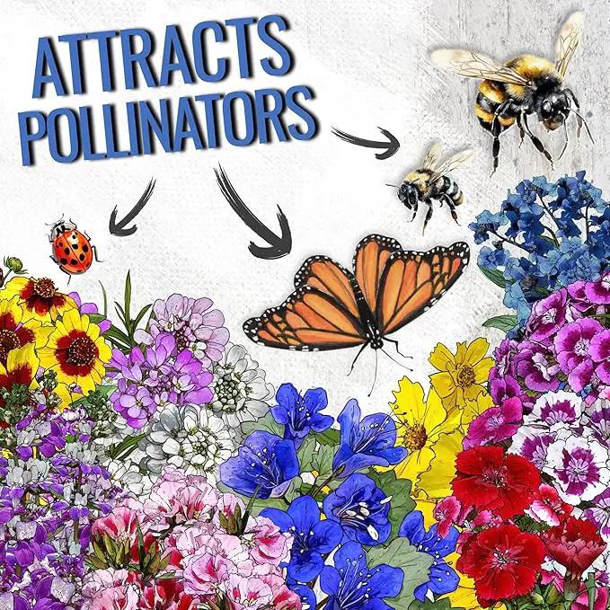 Seed Needs Low Growing Wildflower Flower Seeds for Planting | 10 Packs (1 Ounce Each) Mixture/Blend 17 Varieties | Resealable Package Multicolored Blooms Open Pollinated Mixed Species | Bulk by GreenHaven Gardens