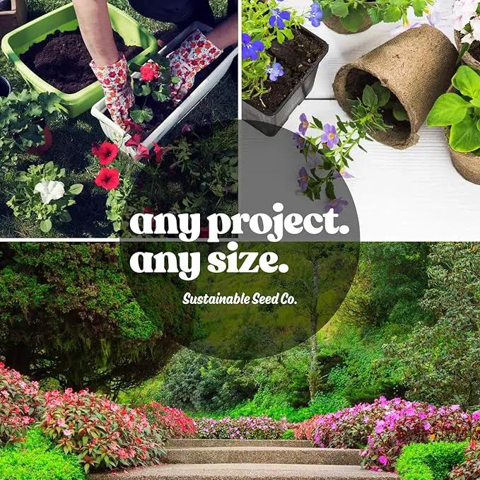 Wildflower Seeds Bulk - Meadow Wildflower Seed Mix, 5 Lbs Bulk, Annual & Perennial Wildflowers Seeds for Planting, Wild Flower & Grass Garden Mixture, Mountain Valley Seed Company by GreenHaven Gardens